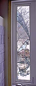 Living Room Window - Bird