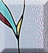 11. Sidelight window