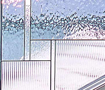 12. Restroom window (detail)