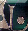 13. Logo for Accupuncturist